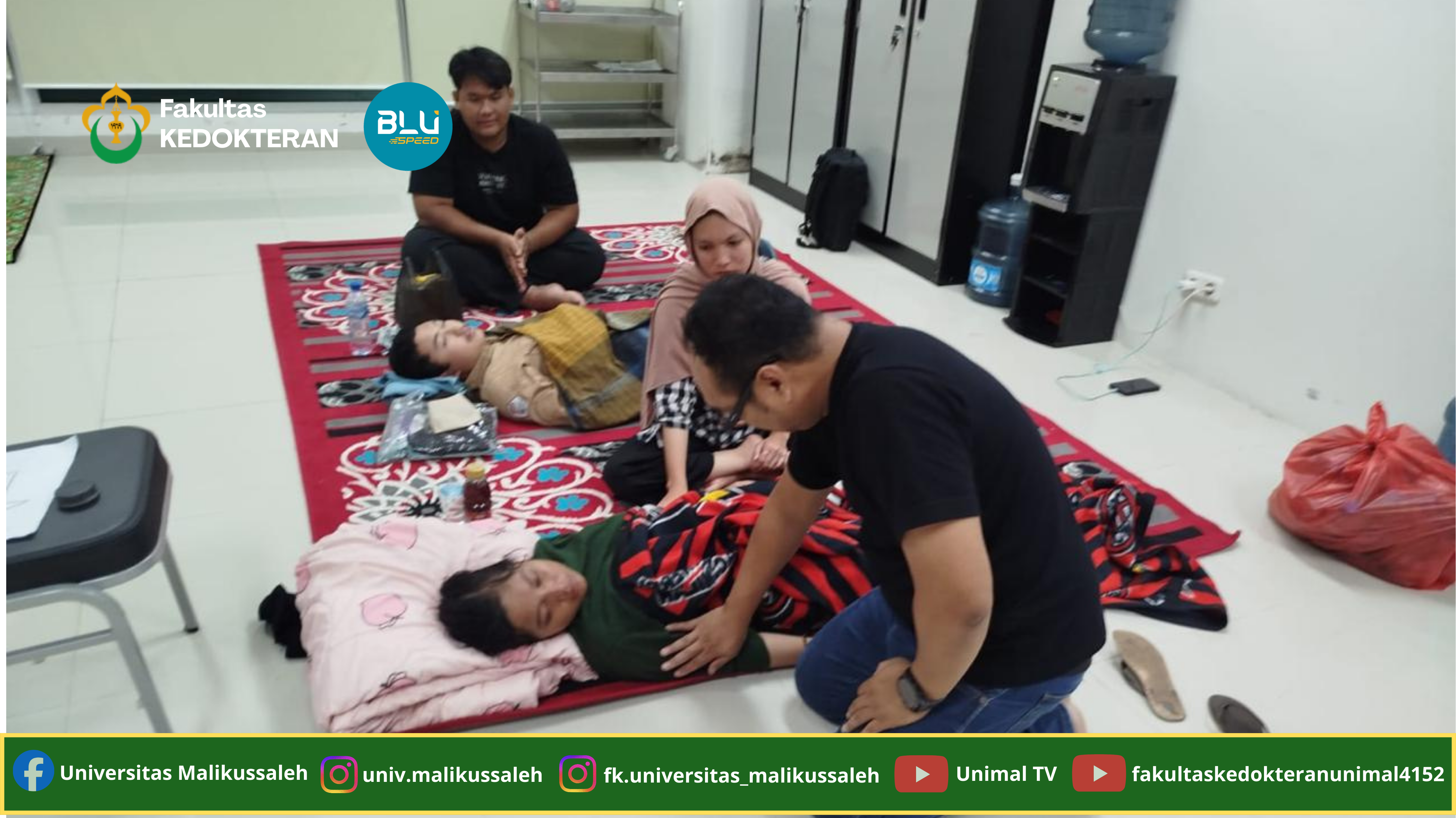 Background Web Unimal 13