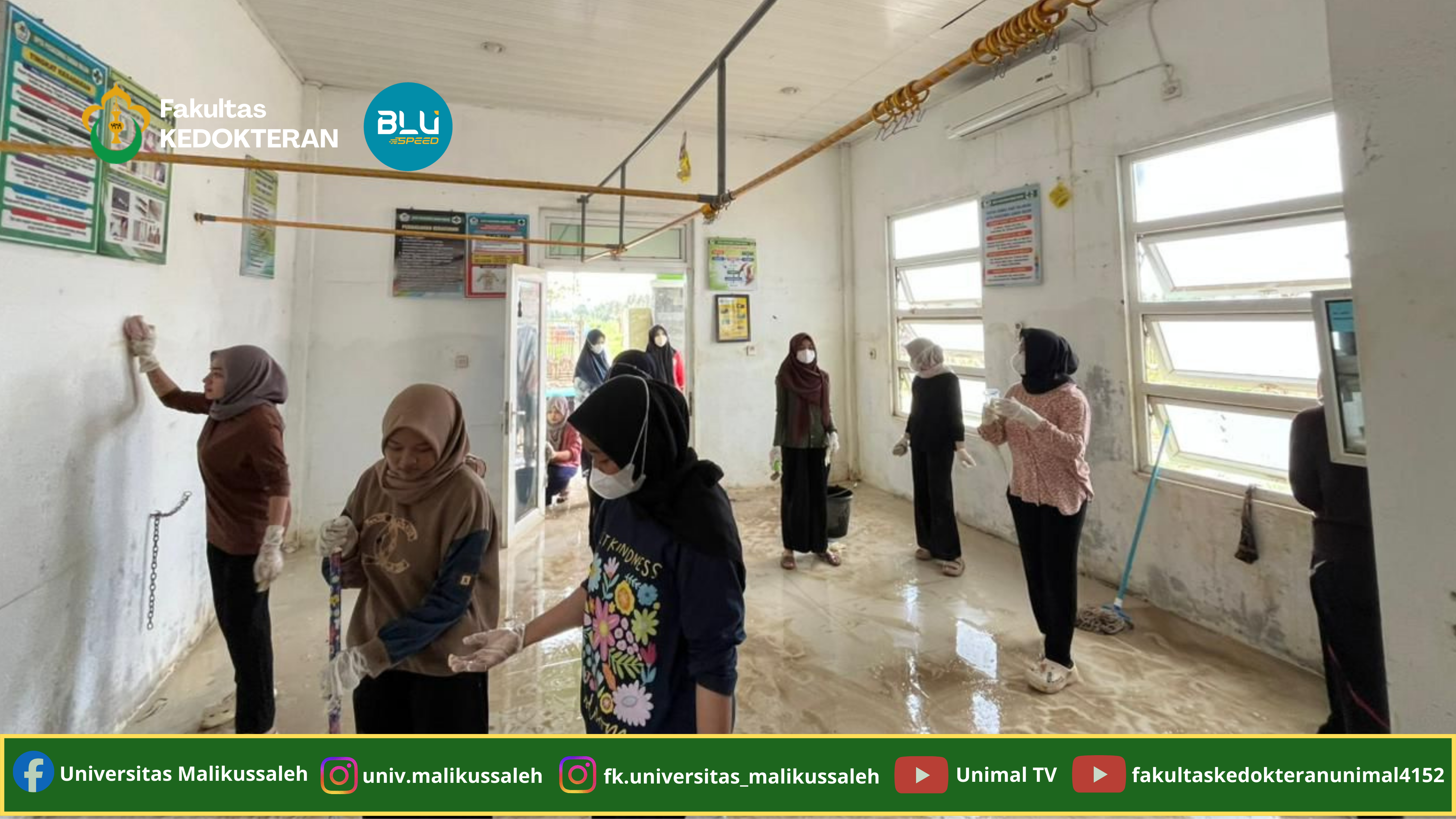 Background Web Unimal 31